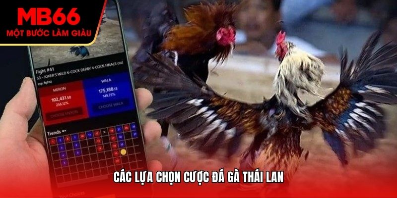 Các lựa chọn cược đá gà Thái Lan