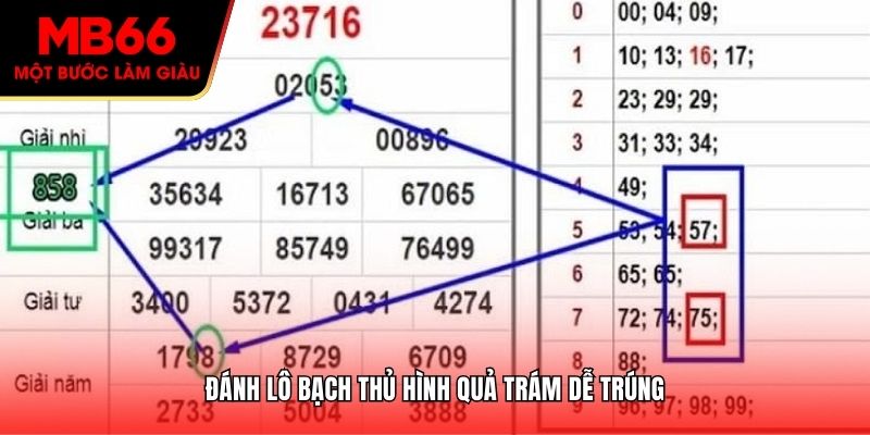Đánh lô bạch thủ hình quả trám dễ trúng