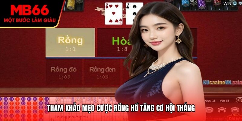 Tham khảo mẹo cược Rồng Hổ tăng cơ hội thắng