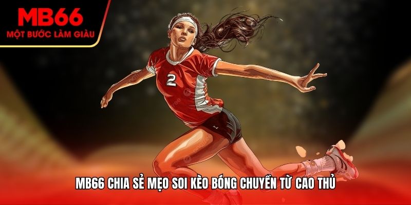MB66 chia sẻ mẹo soi kèo bóng chuyền từ cao thủ