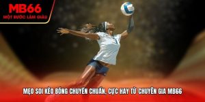 Mẹo soi kèo bóng chuyền