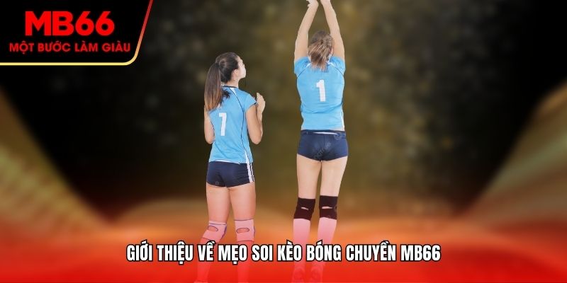 Giới thiệu về mẹo soi kèo bóng chuyền MB66